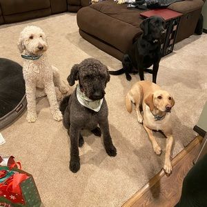 Meet your Posher, Jenny